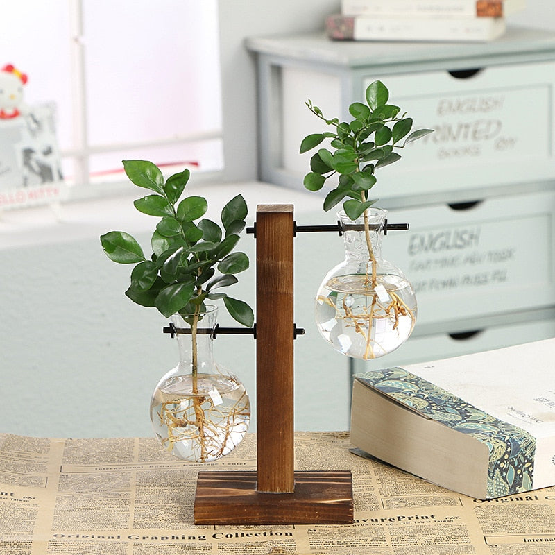 Vintage Hydroponic Plant Vase