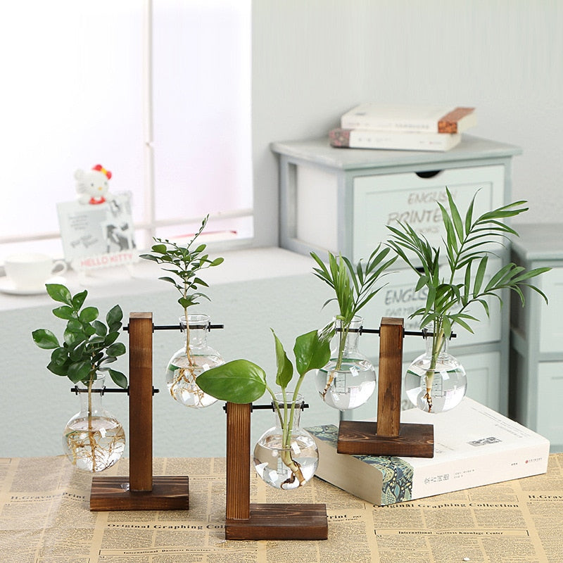 Vintage Hydroponic Plant Vase