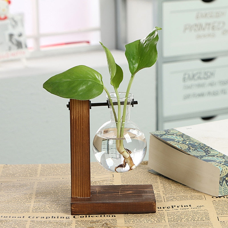 Vintage Hydroponic Plant Vase