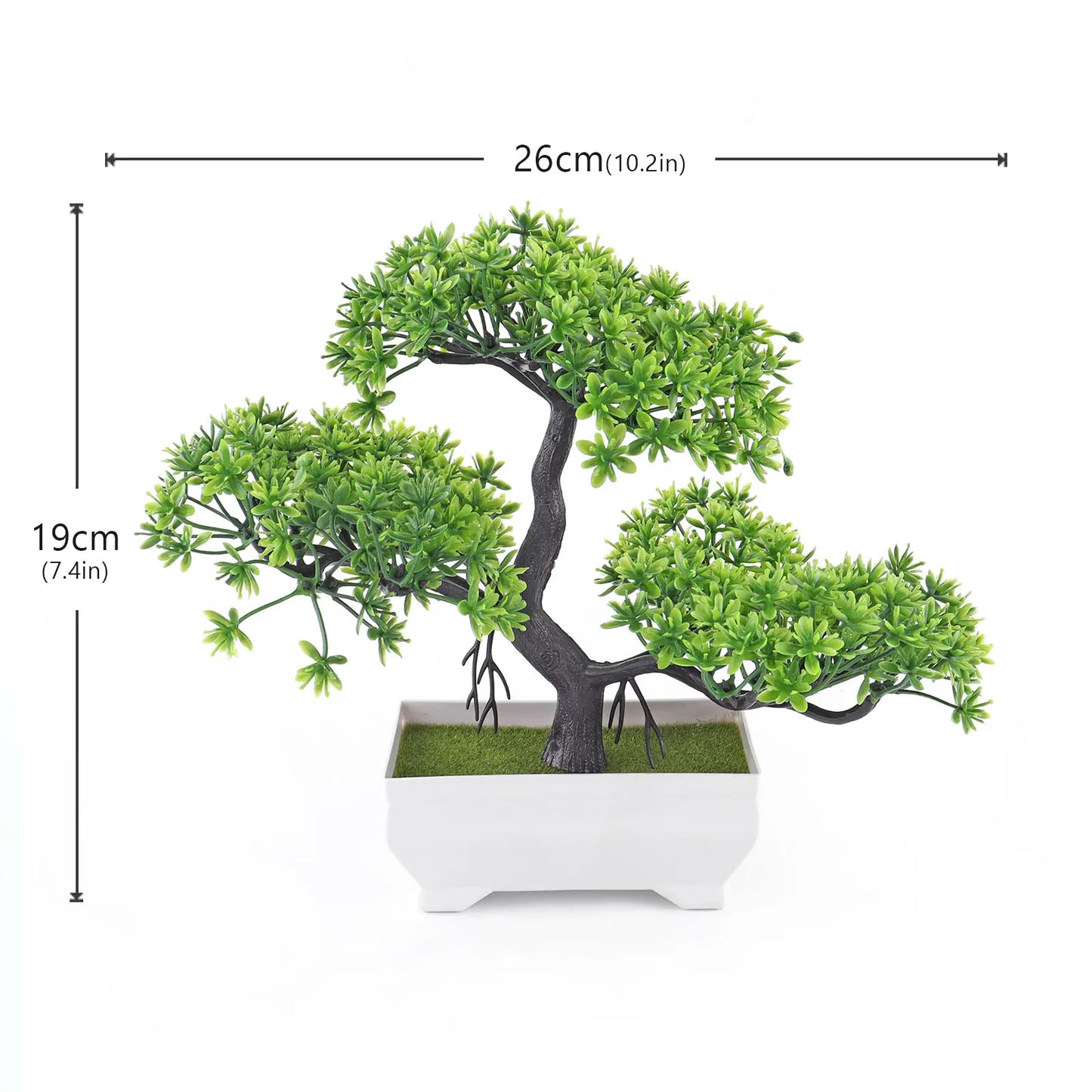 Mini Potted Bonsai Plant