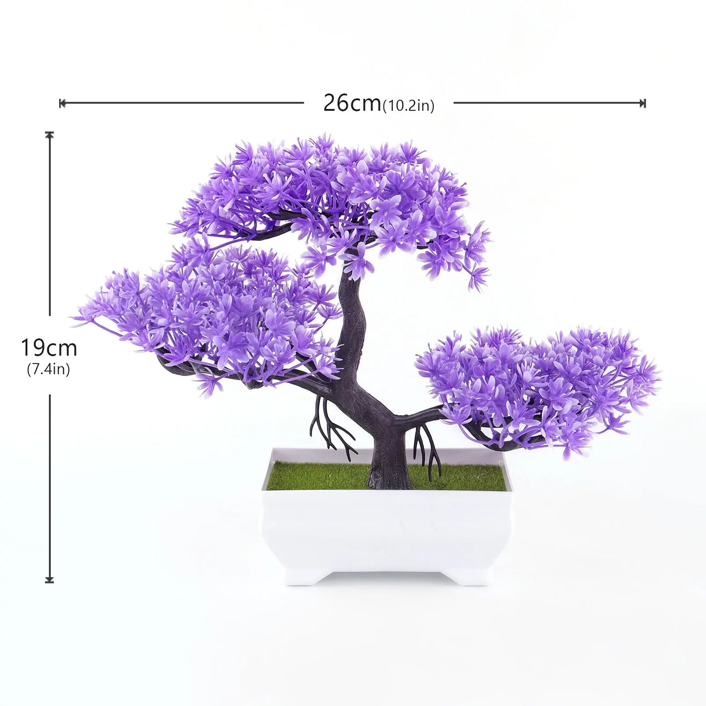 Mini Potted Bonsai Plant