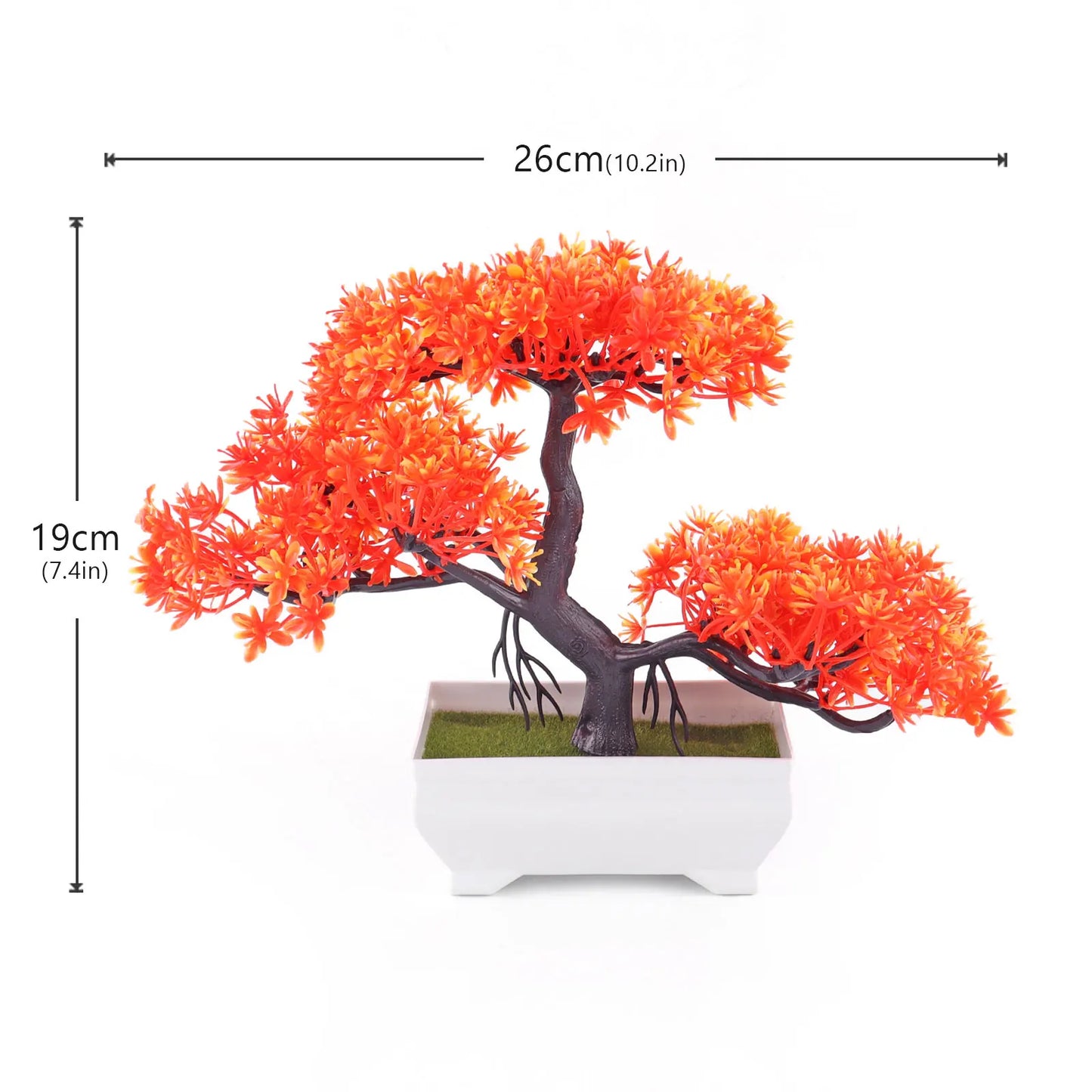 Mini Potted Bonsai Plant