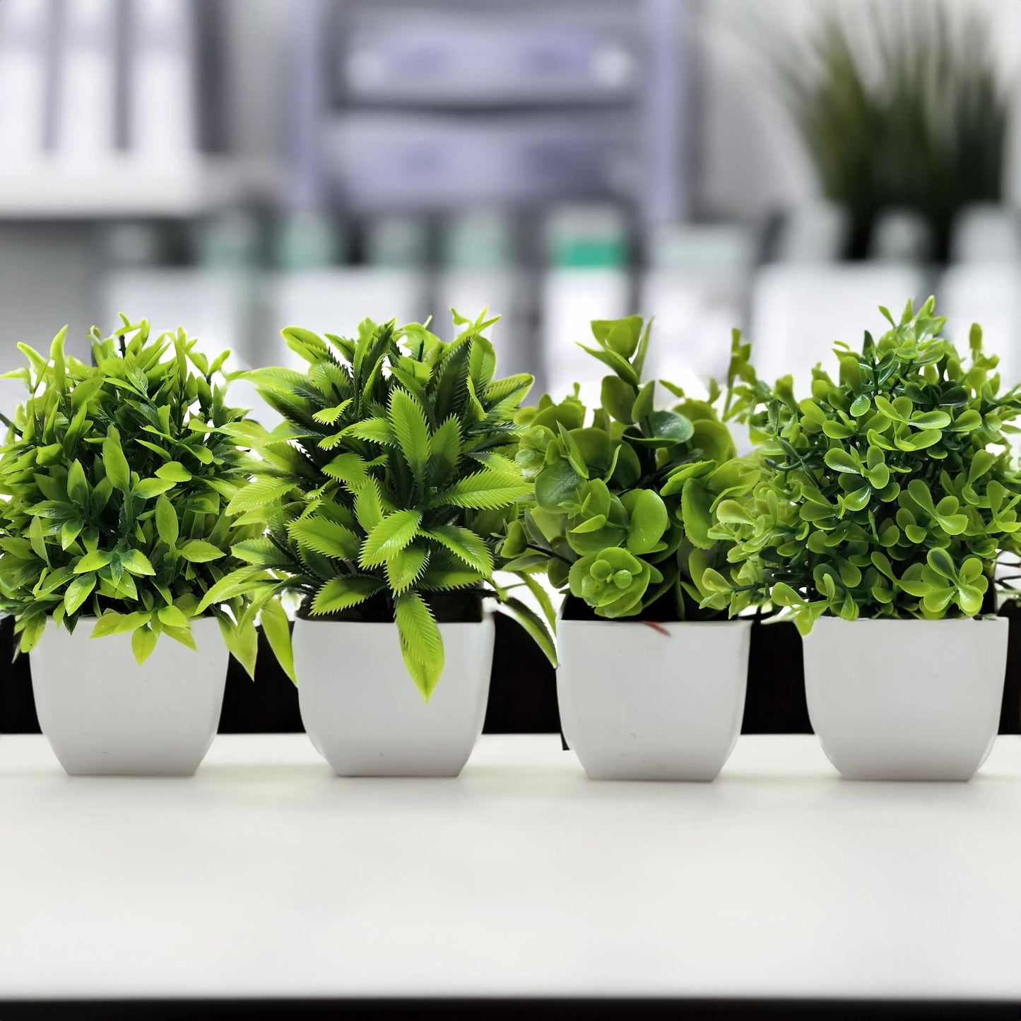 Mini Potted Bonsai Plant