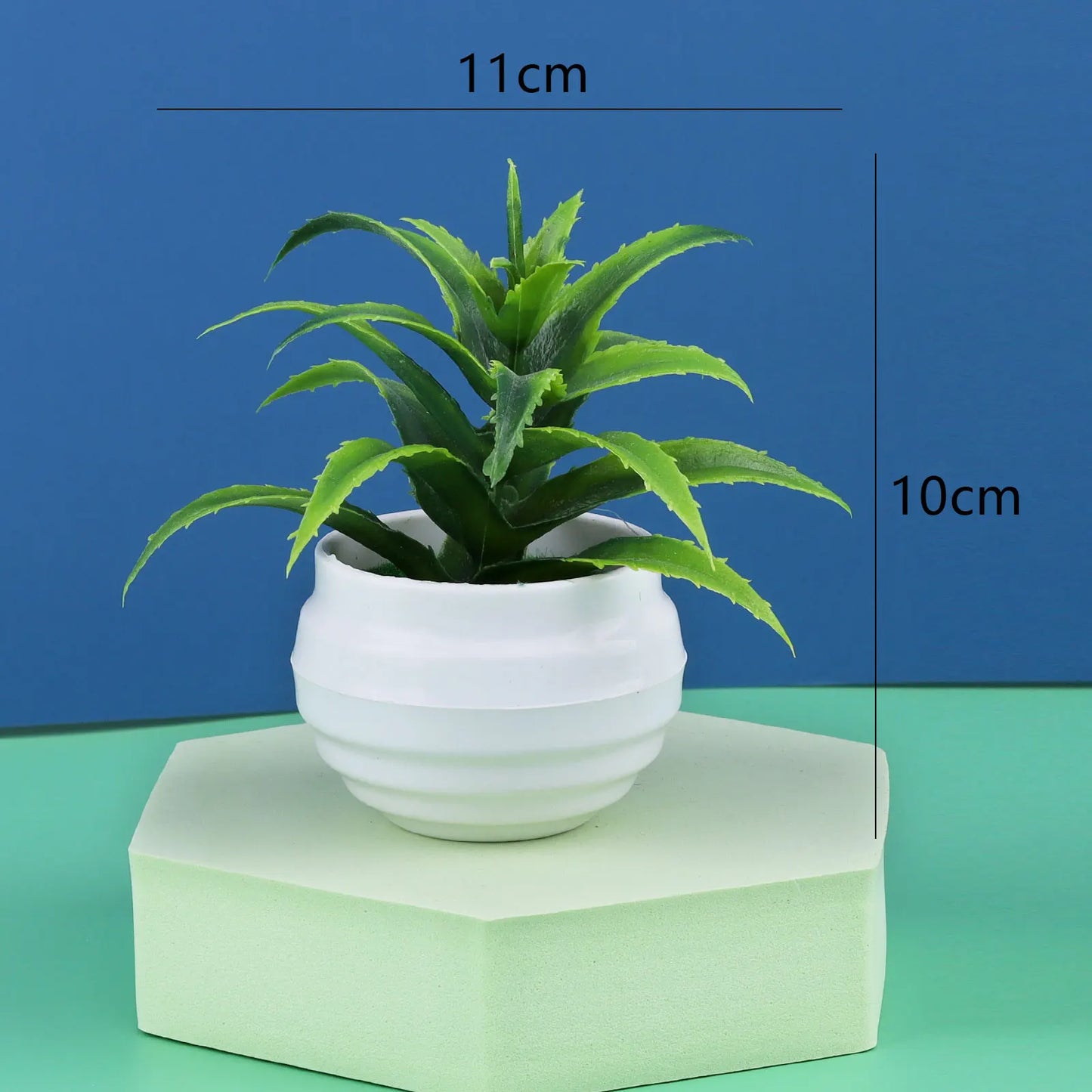 Mini Potted Bonsai Plant