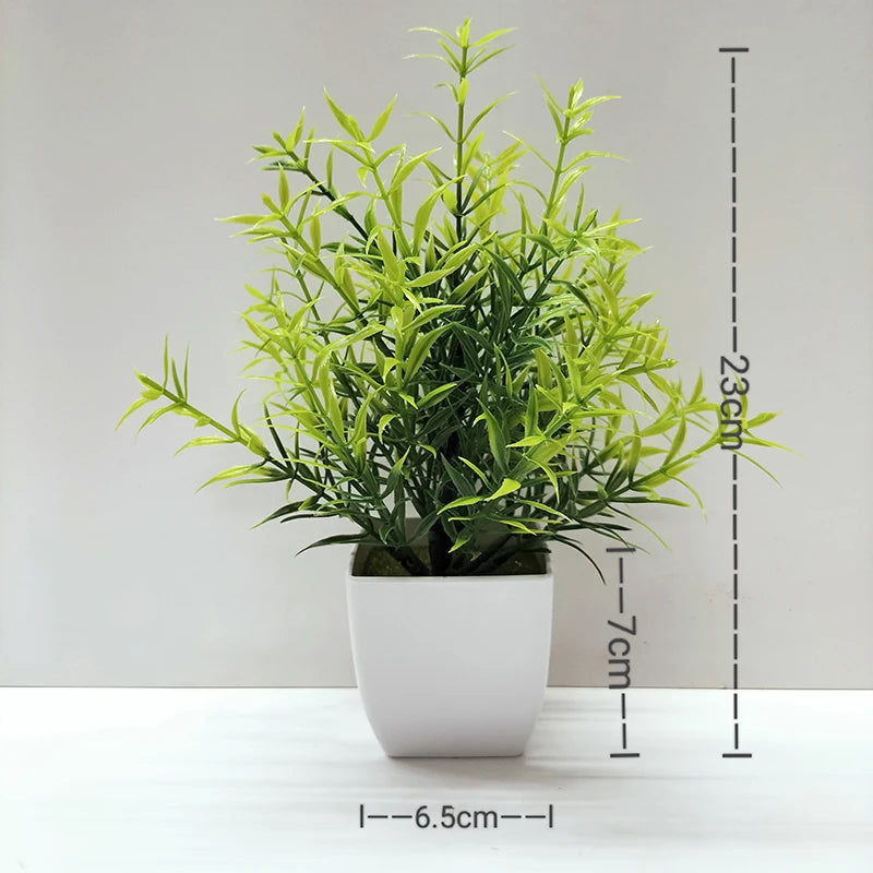 Mini Potted Bonsai Plant
