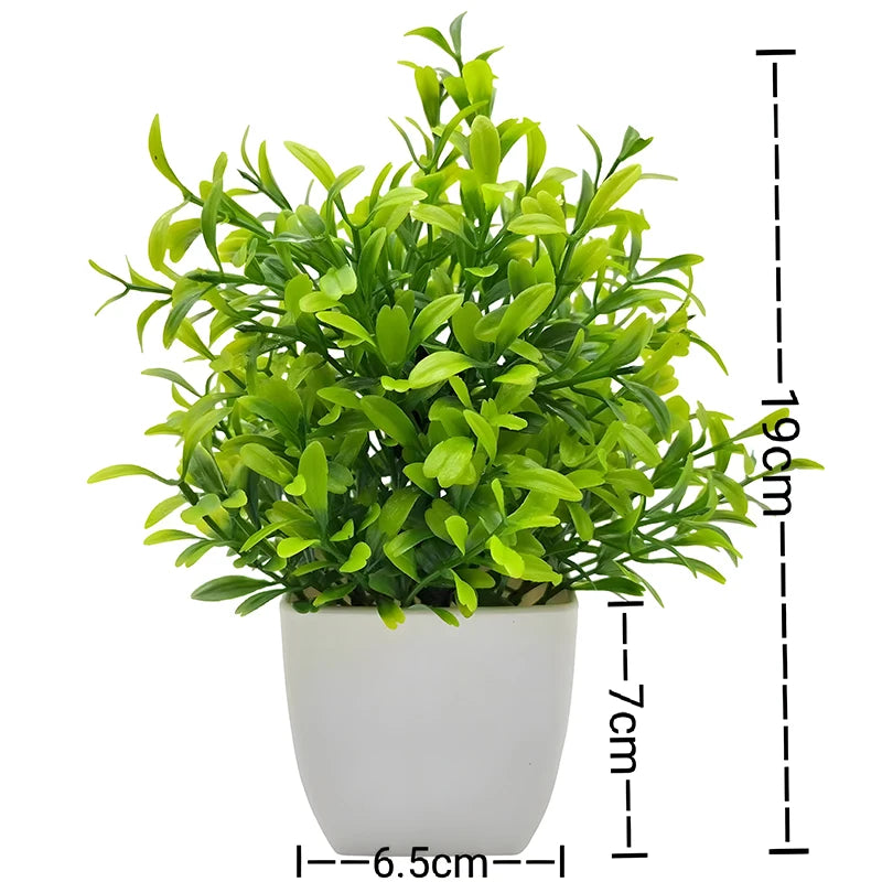 Mini Potted Bonsai Plant