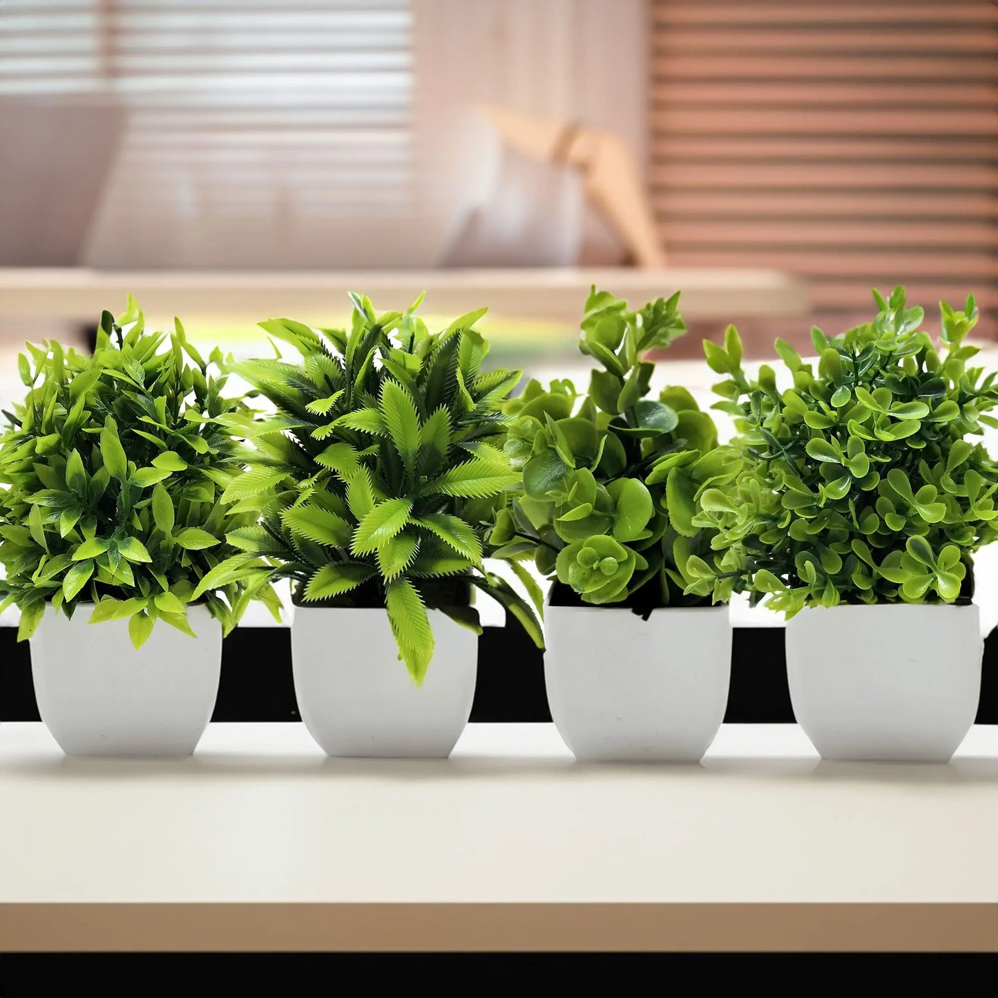 Mini Potted Bonsai Plant