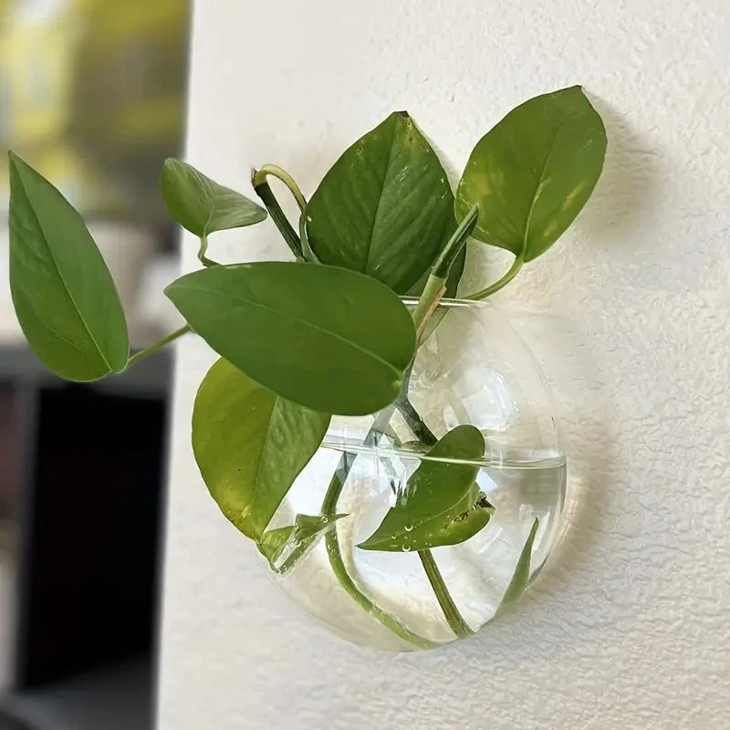 Wall Mounted Glass Terrarium