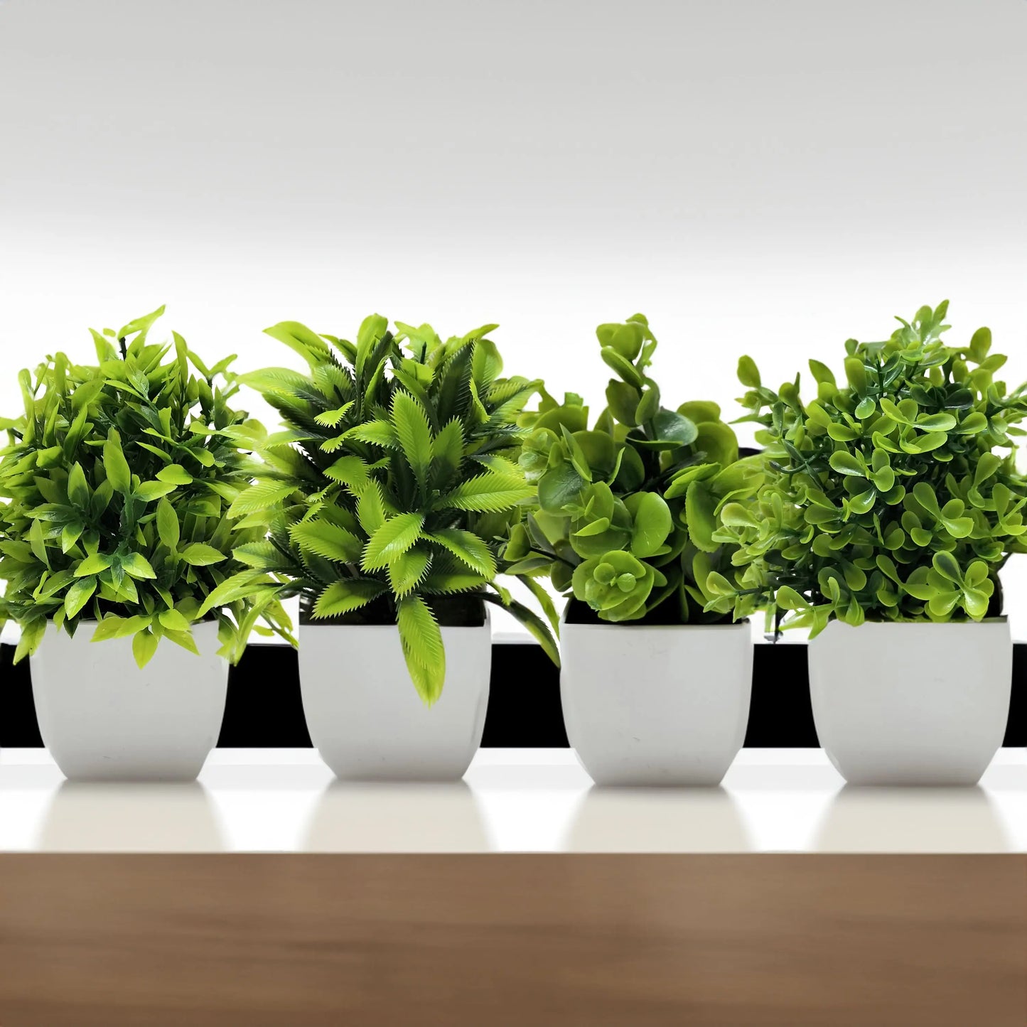 Mini Potted Bonsai Plant