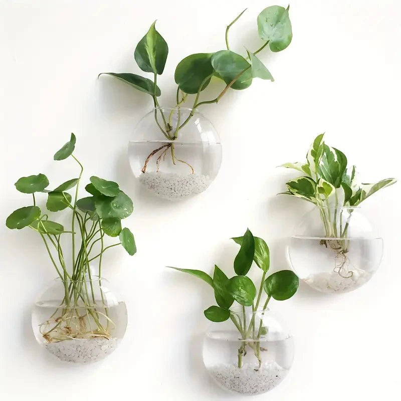 Wall Mounted Glass Terrarium