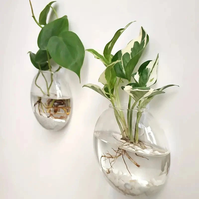 Wall Mounted Glass Terrarium