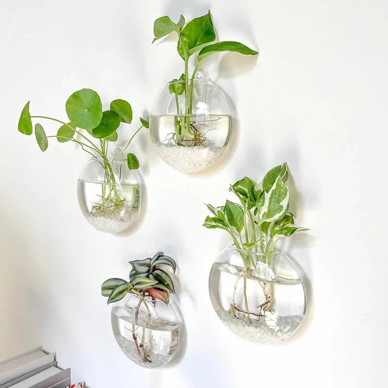 Wall Mounted Glass Terrarium