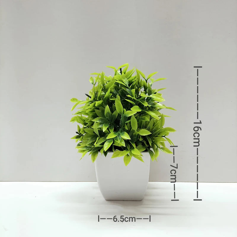 Mini Potted Bonsai Plant