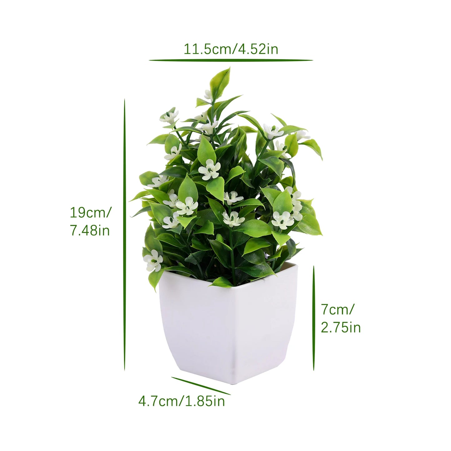 Mini Potted Bonsai Plant