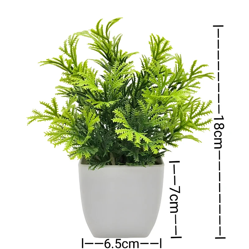 Mini Potted Bonsai Plant
