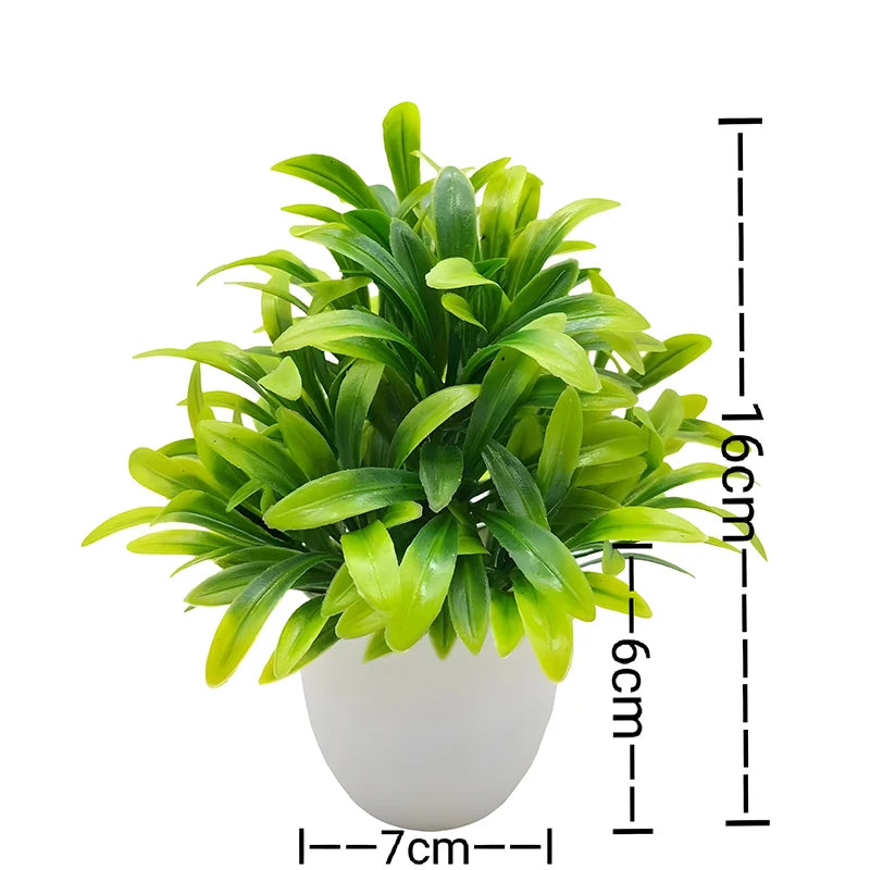 Mini Potted Bonsai Plant