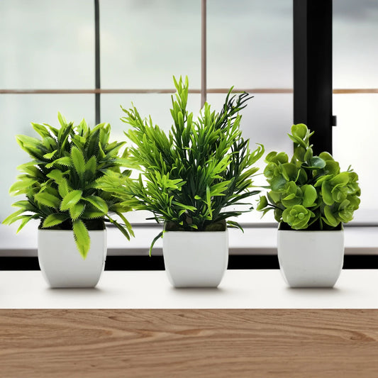 Mini Potted Bonsai Plant