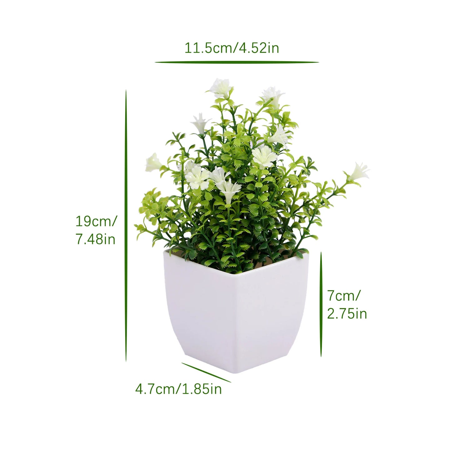 Mini Potted Bonsai Plant