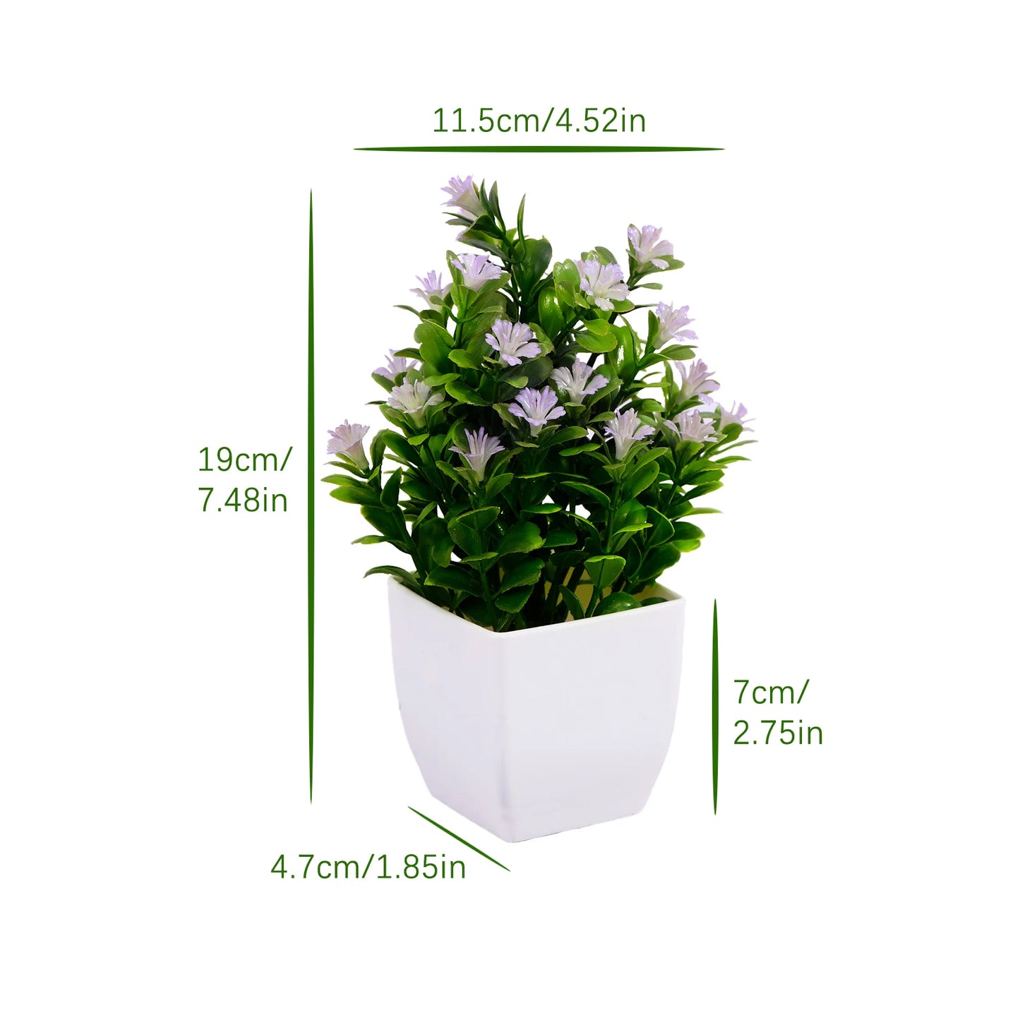 Mini Potted Bonsai Plant