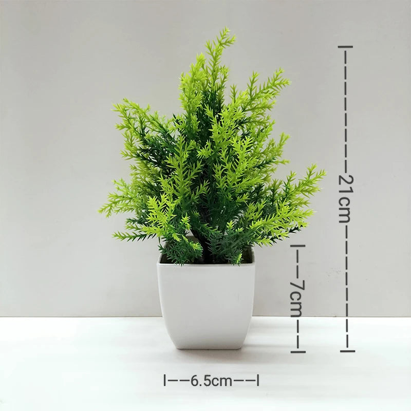 Mini Potted Bonsai Plant