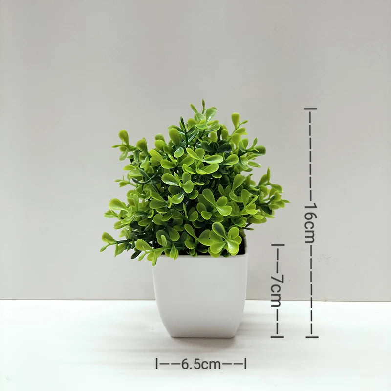Mini Potted Bonsai Plant