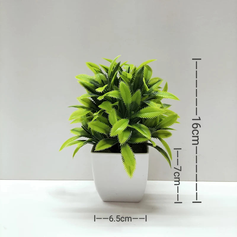 Mini Potted Bonsai Plant