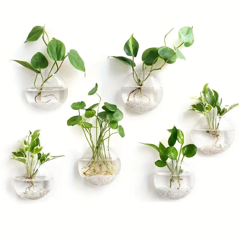 Wall Mounted Glass Terrarium